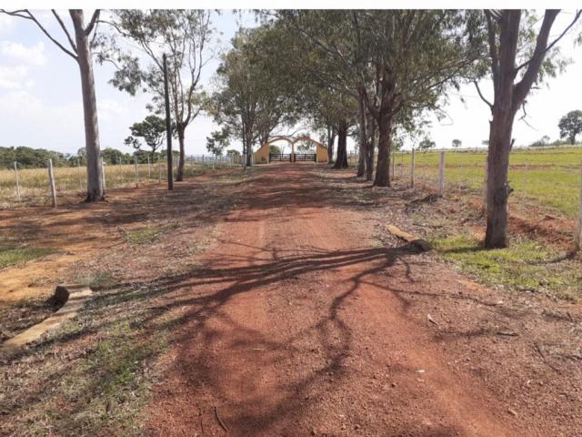 Fazenda para Venda em Nova América - 4