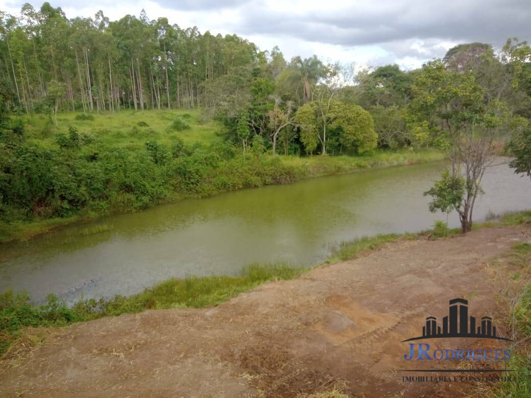 Fazenda à venda com 3 quartos, 4307m² - Foto 6